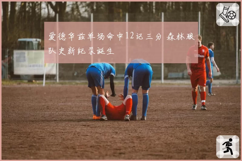 爱德华兹单场命中12记三分 森林狼队史新纪录诞生