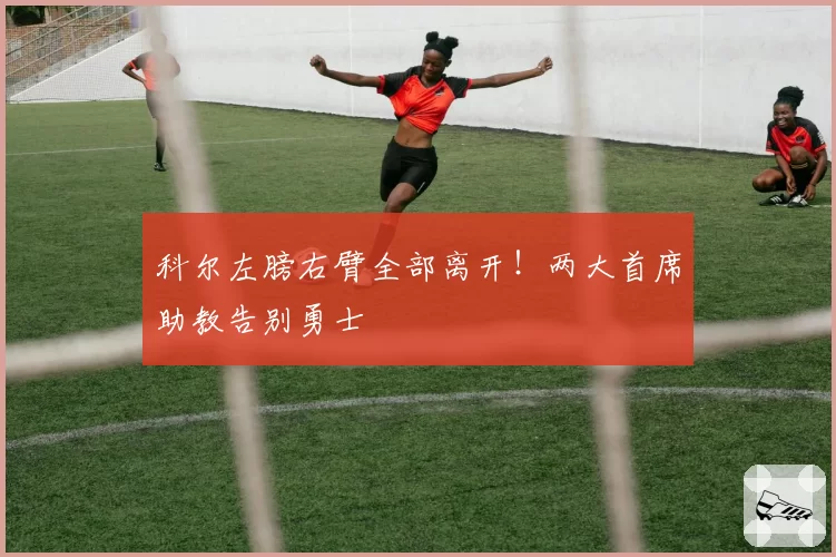 科尔左膀右臂全部离开！两大首席助教告别勇士